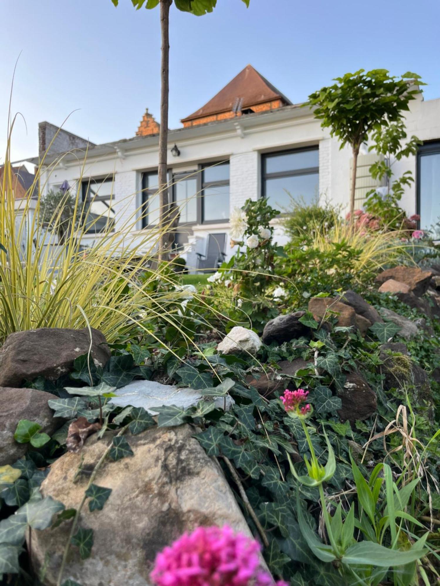 Le Petit Paradis Cassel Exterior foto