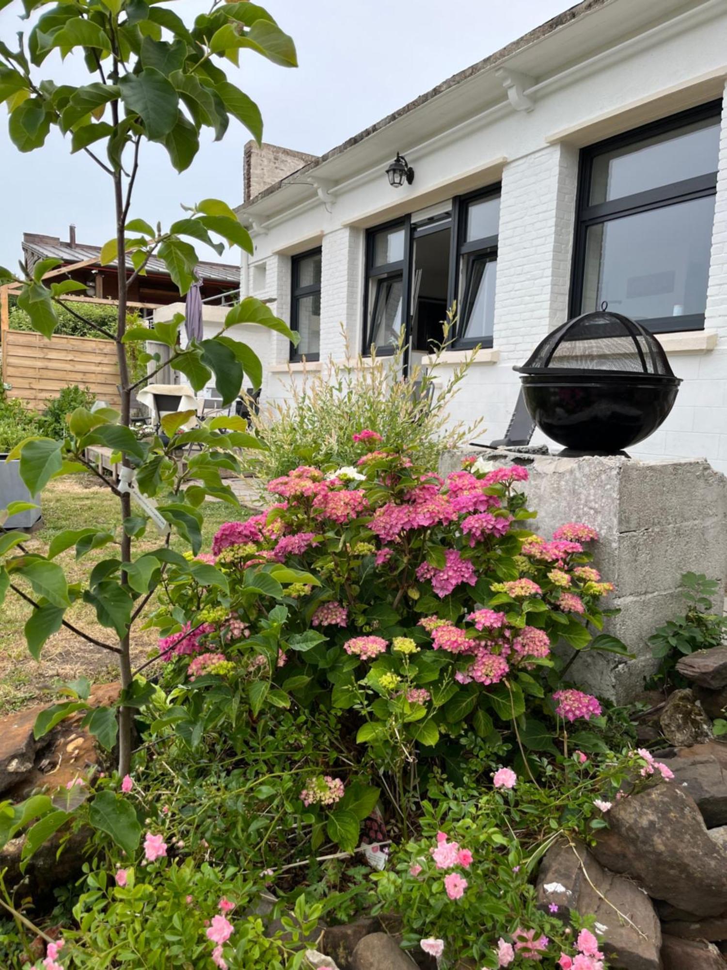 Le Petit Paradis Cassel Exterior foto