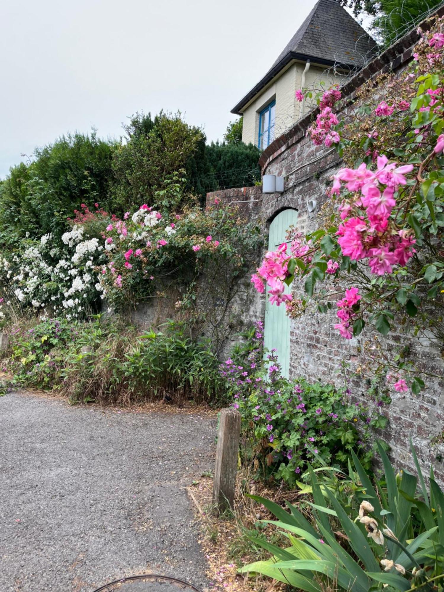 Le Petit Paradis Cassel Exterior foto